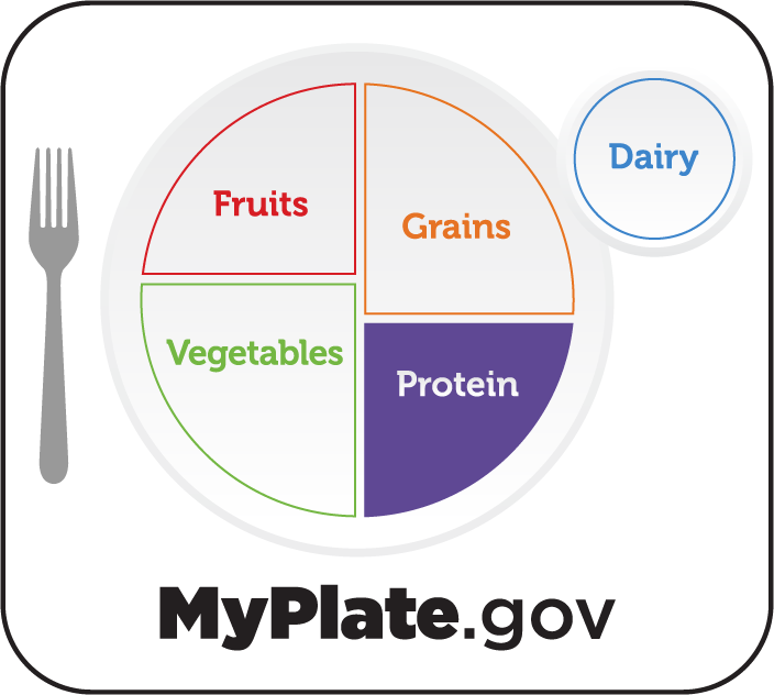 MyPlate Food Group plate depiction of one segment of the plate shaded in purple to say "Protein."